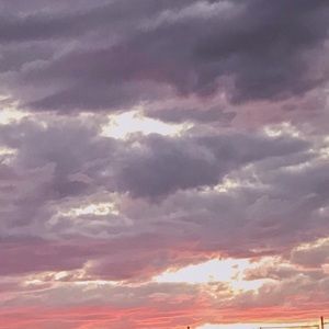 Meet your Posher, Tessa